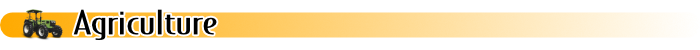 Online Databases - All