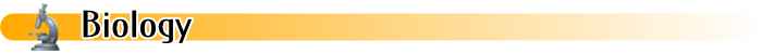 Online Databases - All