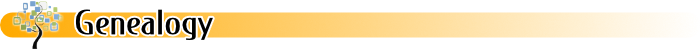 Online Databases - All