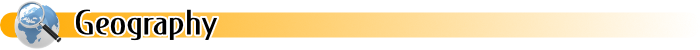 Online Databases - All