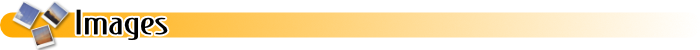 Online Databases - All
