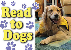dogs