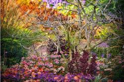 fall